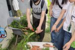 平行心間chill心動田野體驗日[20260418]